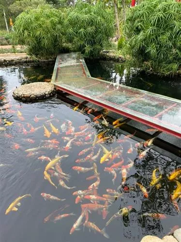 Top Destinations in Vietnam