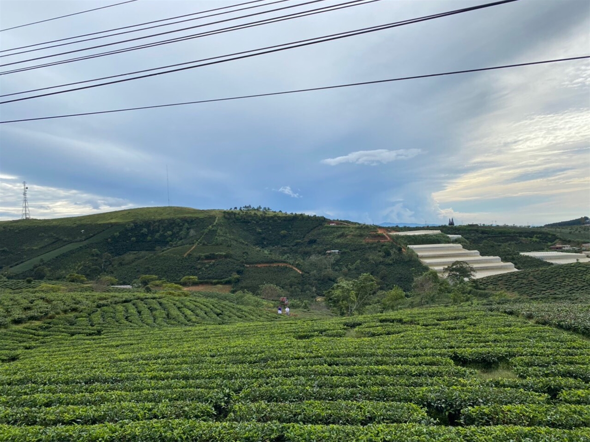 RENT A CAR SAI GON TO DA LAT