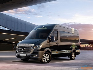 Limousine-9seater