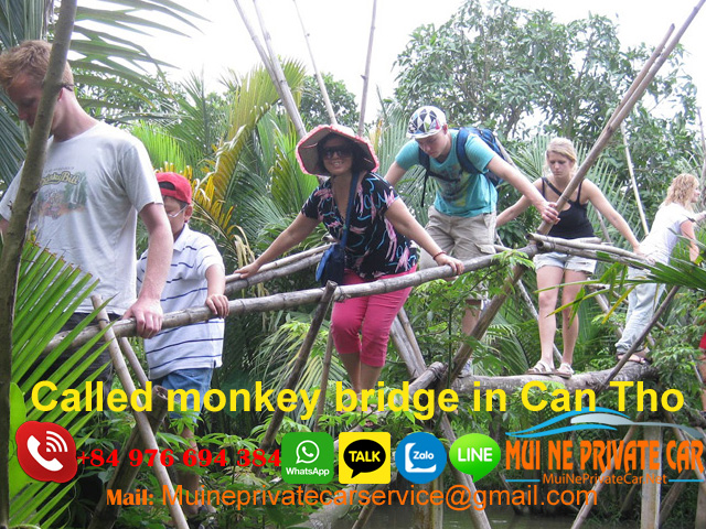 monkey-bridge-in-can-tho