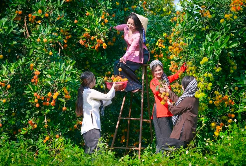 Mekong Delta countryside
