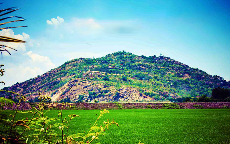 Ca Mau to Chau Doc Private Car