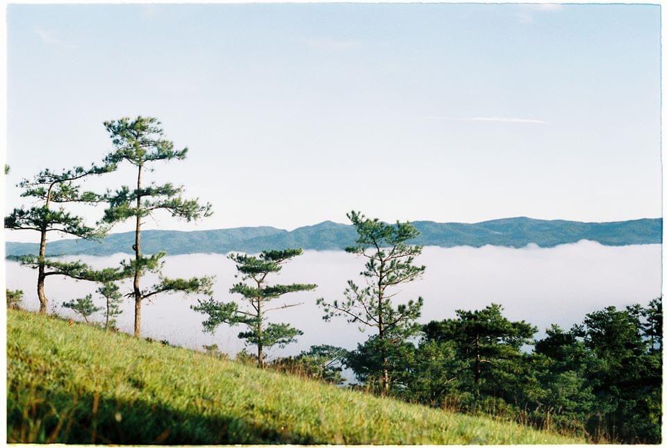 Transport Ho Chi Minh to Da lat - Private Taxi From Ho Chi Minh to Da lat
