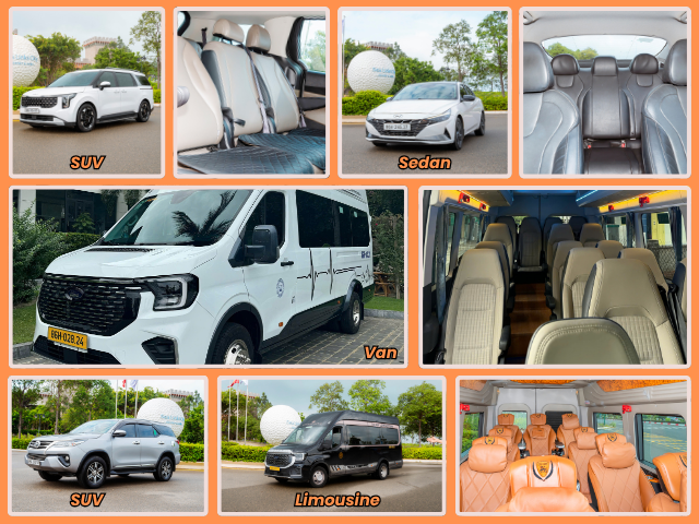 Our-fleet